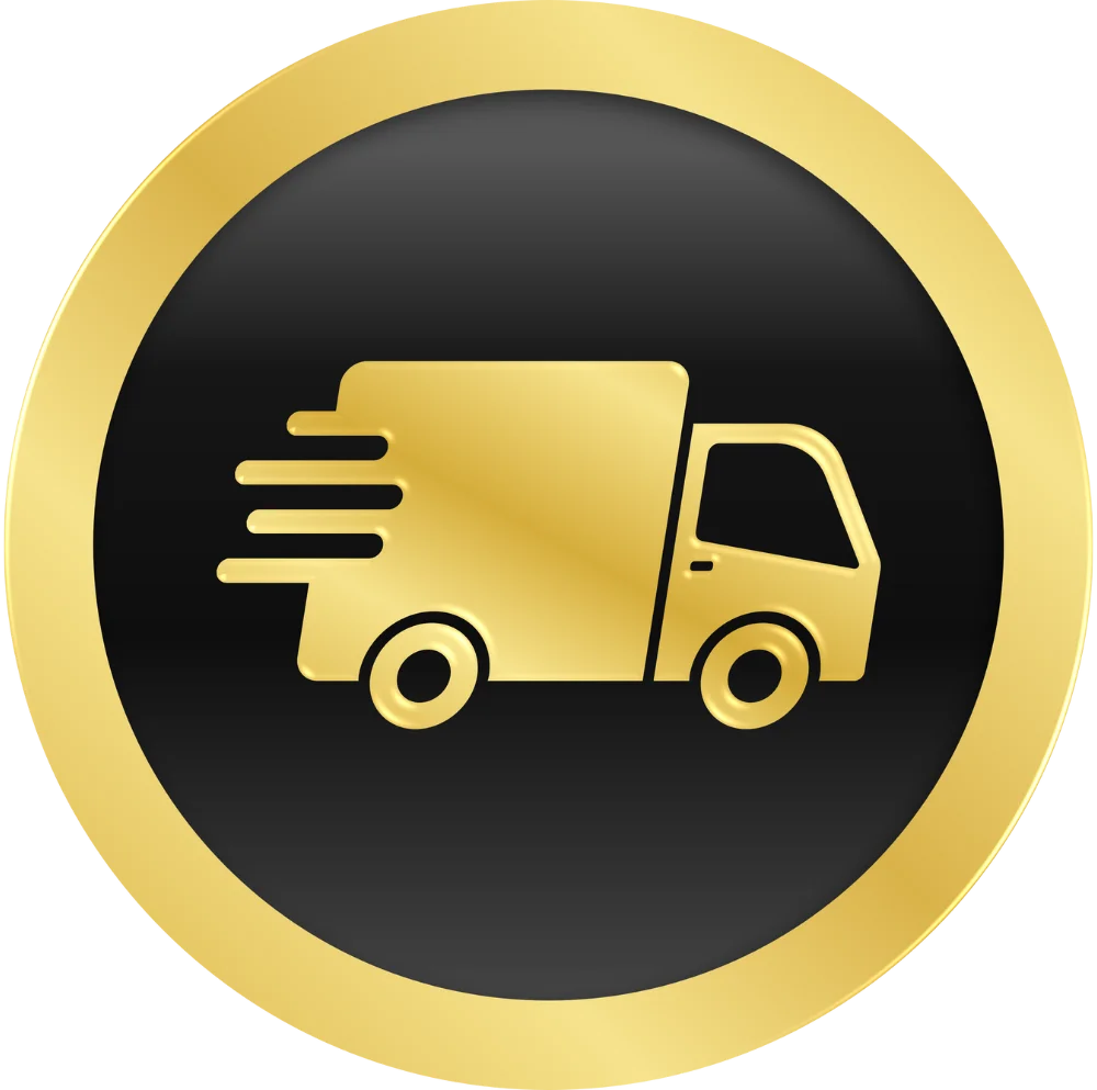 Logo envios a todo Chile