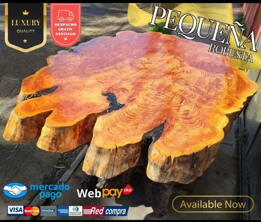Pequeña robusta / Mesa nativa / Base raíz y cubierta ciprés / Acabado Semi Glossy
